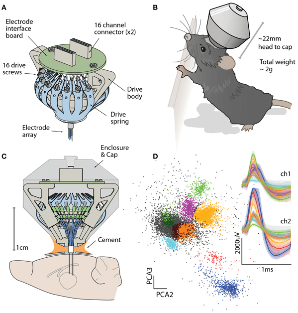 voigts flexDrive figure